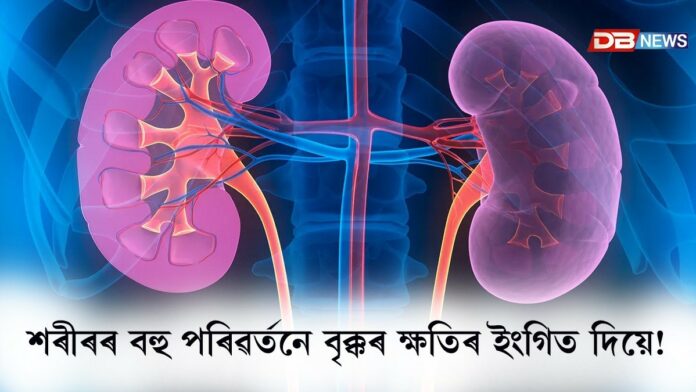 কেৱল প্ৰস্ৰাৱে নহয়, শৰীৰৰ বহু পৰিৱৰ্তনে বৃক্কৰ ক্ষতিৰ ইংগিত দিয়ে !