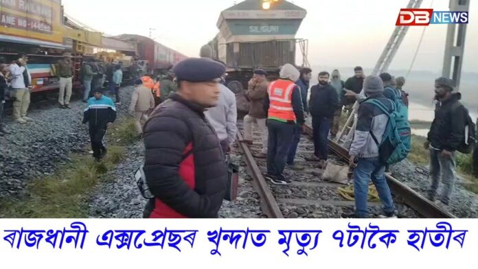 ৰাজধানী এক্সপ্ৰেছৰ খুন্দাত মৃত্যু হয় ৭টাকৈ হাতীৰ