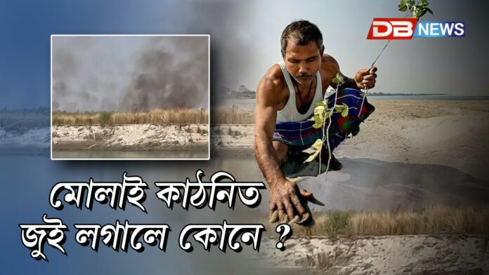 কোনে মোলাই কাঠনিত জুই লগালে ?