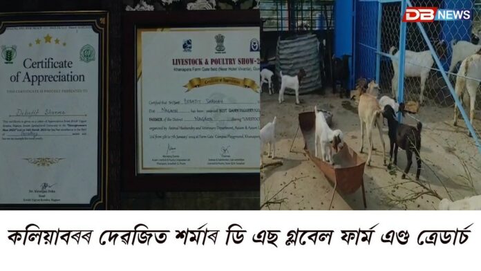 ডি এছ গ্লবেল ফাৰ্ম এণ্ড ত্ৰেডাৰ্চত ব্লেক বেঙ্গল, আছাম হিল গ'ট, বাৰবাৰী, চিৰহিৰ লগতে চাউথ আফ্ৰিকান ব'য়েৰ গ'টৰ প্ৰজাতিৰ ছাগলী