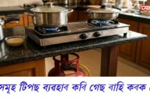 Gas Cylinder: গেছ কেনেকৈ ৰাহি কৰিব পাৰিঃ LPGৰ নাটনিৰ সময়ত গেছ ৰাহি কৰক Gas Cylinder: গেছ কেনেকৈ ৰাহি কৰিব পাৰিঃ LPGৰ নাটনিৰ সময়ত গেছ ৰাহি কৰক