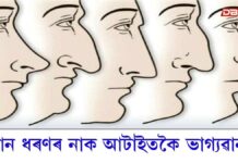 Nose Shape: দীঘল, চুটি নে বেঁকা নাক; কোন ধৰণৰ নাক আটাইতকৈ ভাগ্যৱান ? Nose Shape: দীঘল, চুটি নে বেঁকা নাক; কোন ধৰণৰ নাক আটাইতকৈ ভাগ্যৱান ?