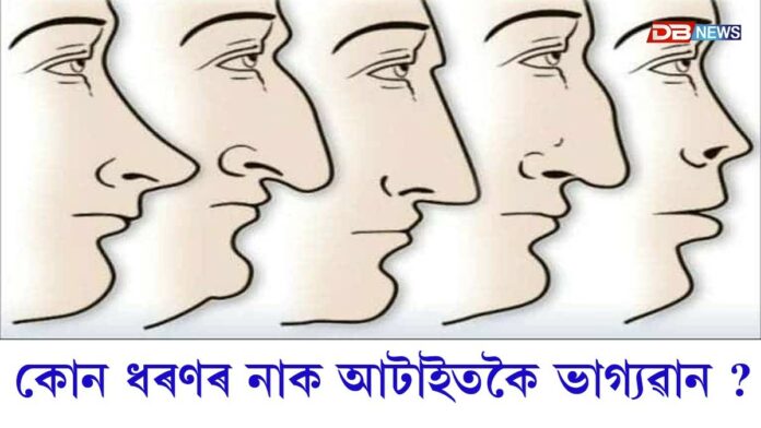 Nose Shape: দীঘল, চুটি নে বেঁকা নাক; কোন ধৰণৰ নাক আটাইতকৈ ভাগ্যৱান ?