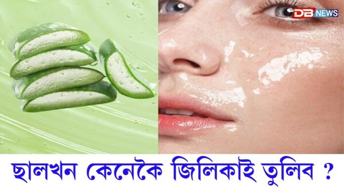 ৰাতি শোৱাৰ পূৰ্বে এই বিশেষ জেলবিধ মুখত লগালে, ৰাতিপুৱা ছালখন জিলিকি থাকিব