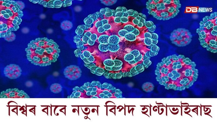 বিশ্বৰ বাবে নতুন বিপদ হাণ্টাভাইৰাছঃ কেইবাজনো নাবিকৰ মৃত্যু, সতৰ্ক হৈছে ভাৰতকে ধৰি বহু দেশ