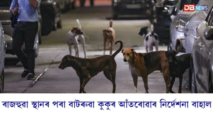 ৰাজহুৱা স্থানৰ পৰা বাটৰুৱা কুকুৰ আঁতৰোৱাৰ নিৰ্দেশনা বাহাল