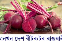Beetroot: বীটৰুটৰ ৰাজধানী নামেৰে কোন কেইখন দেশ পৰিচিত? এই তালিকাত ভাৰতৰ স্থান কি… বীটৰুটৰ ৰাজধানী নামেৰে কোন কেইখন দেশ পৰিচিত? এই তালিকাত ভাৰতৰ স্থান কি...