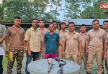 কচুগাঁৱৰ ৰাইমনা ৰাষ্ট্ৰীয় উদ্যানত বন বিভাগৰ অভিযান, দুটা হস্তনিৰ্মিত বন্দুকসহ চোৰাং চিকাৰীক গ্ৰেপ্তাৰ কচুগাঁৱৰ ৰাইমনা ৰাষ্ট্ৰীয় উদ্যানত বন বিভাগৰ অভিযান, দুটা হস্তনিৰ্মিত বন্দুকসহ চোৰাং চিকাৰীক গ্ৰেপ্তাৰ