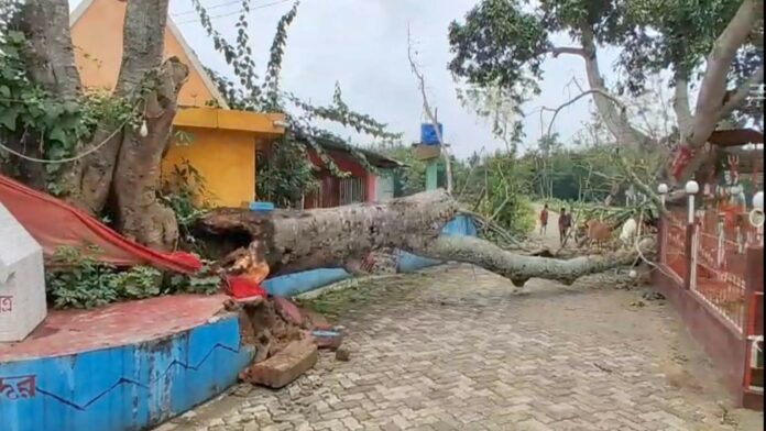 কামপুৰত নিশা মন্দিৰত গছ পৰি অঘটন