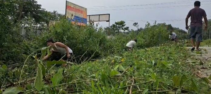 বিশ্বনাথৰ চামগুৰিত সচেতন যুৱকসকলৰ উদ্যোগত চাফাই অভিযান