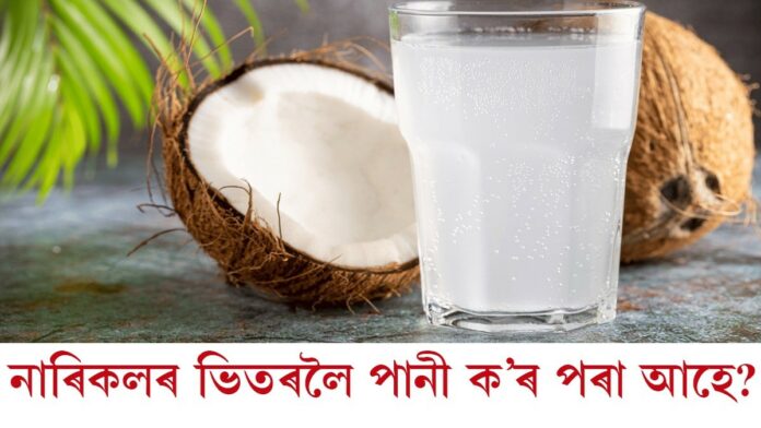 কেতিয়াবা ভাবিছেনে নাৰিকলৰ ভিতৰত পানী ক’ৰ পৰা আহে ?