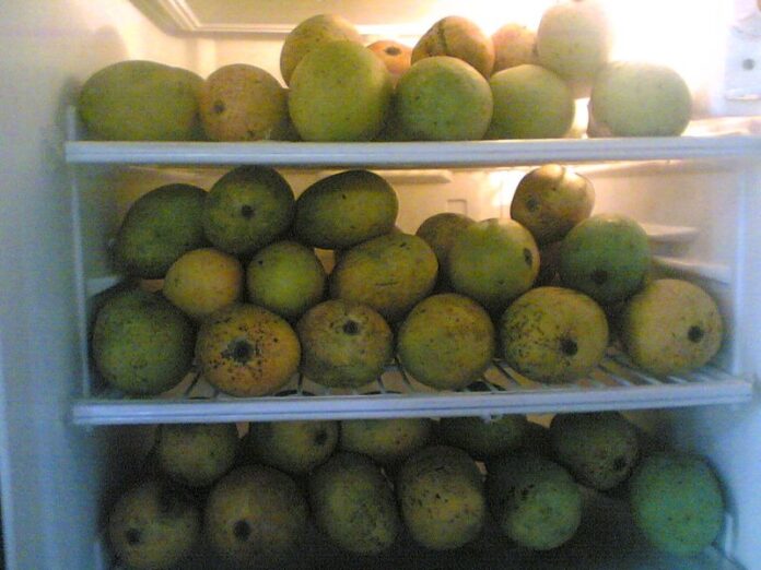 কেঁচা আম কিয় ফ্ৰীজত ৰাখিব নালাগে ?
