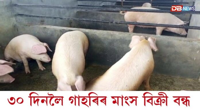 সাৱধানঃ ভয়ংকৰ ৰূপত বৃদ্ধি পাইছে আফ্ৰিকান ছোৱাইন ফ্লু