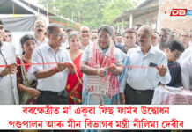 এক লাখ টন থলুৱা মাছৰ উৎপাদনেৰে নিবনুৱা সংস্থাপনৰ লক্ষ্য বৰক্ষেত্ৰীৰ বিধায়ক নাৰায়ণ ডেকাৰ এক লাখ টন থলুৱা মাছৰ উৎপাদনেৰে নিবনুৱা সংস্থাপনৰ লক্ষ্য বৰক্ষেত্ৰীৰ বিধায়ক নাৰায়ণ ডেকাৰ