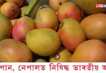 জাপানৰ পিছত এইবাৰ নেপালতো নিষিদ্ধ ভাৰতীয় আম… জাপানৰ পিছত এইবাৰ নেপালতো নিষিদ্ধ ভাৰতীয় আম