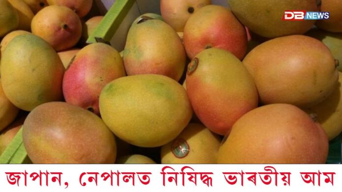 জাপানৰ পিছত এইবাৰ নেপালতো নিষিদ্ধ ভাৰতীয় আম