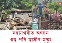 মহানগৰীত অঘটনঃ গছ পৰি ছাত্ৰীৰ মৃত্যু… মহানগৰীত অঘটনঃ গছ পৰি ছাত্ৰীৰ মৃত্যু