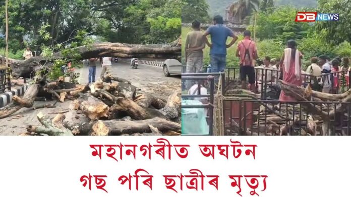 মহানগৰীত অঘটনঃ গছ পৰি ছাত্ৰীৰ মৃত্যু