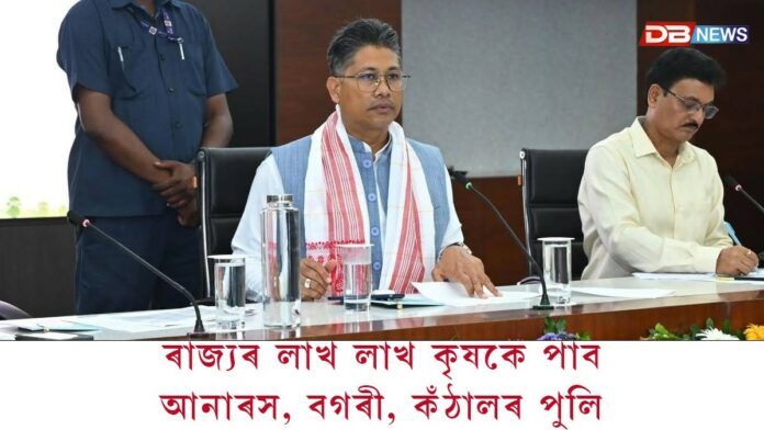 ৰাজ্যৰ লাখ লাখ কৃষকে পাব আনাৰস, বগৰী, কঁঠালৰ পুলি