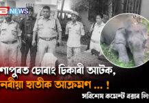 সোণাপুৰত চোৰাং চিকাৰী আটক, বনৰীয়া হাতীক আক্ৰমণ … ! সোণাপুৰত চোৰাং চিকাৰী আটক, বনৰীয়া হাতীক আক্ৰমণ ... !