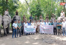 ওৰাং ৰাষ্ট্ৰীয় উদ্যানত অনুষ্ঠিত Captive Elephant Health Camp আৰু Aranya Bandhu Award 2026 ওৰাং ৰাষ্ট্ৰীয় উদ্যানত অনুষ্ঠিত Captive Elephant Health Camp আৰু Aranya Bandhu Award 2026
