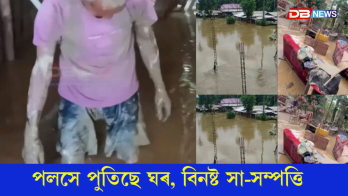 পলসে পুতিছে ঘৰ, বিনষ্ট সা-সম্পত্তি