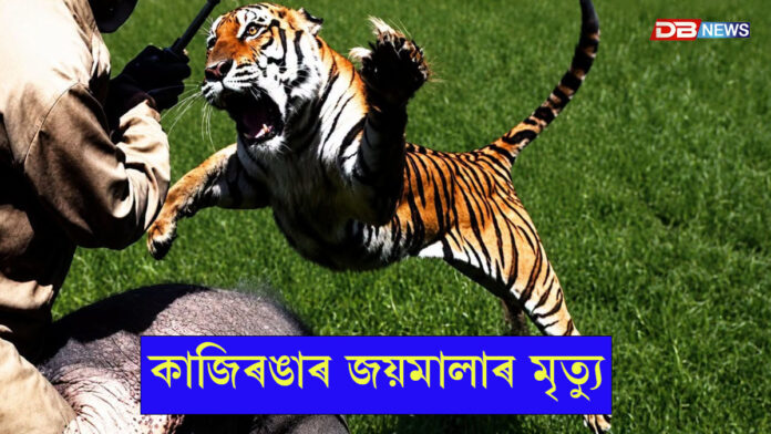 কাজিৰঙাৰ জয়মালাৰ মৃত্যুঃ জয়মালাৰ বিয়োগত গভীৰ শোক প্ৰকাশ বনমন্ত্ৰী জয়ন্ত মল্ল বৰুৱাৰ