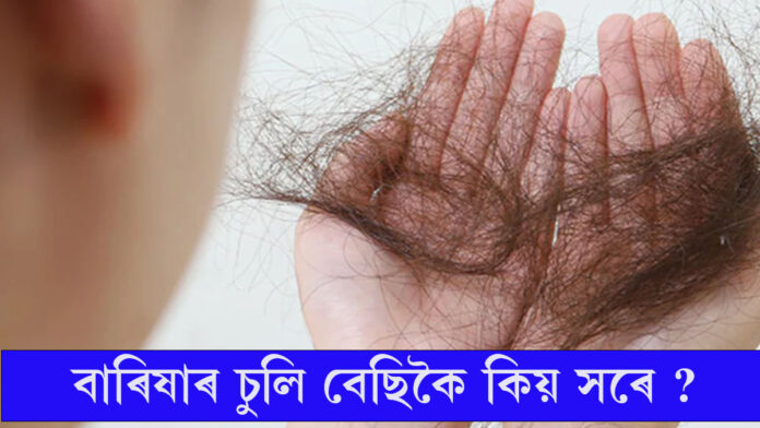 বাৰিষাৰ চুলি বেছিকৈ কিয় সৰে ?