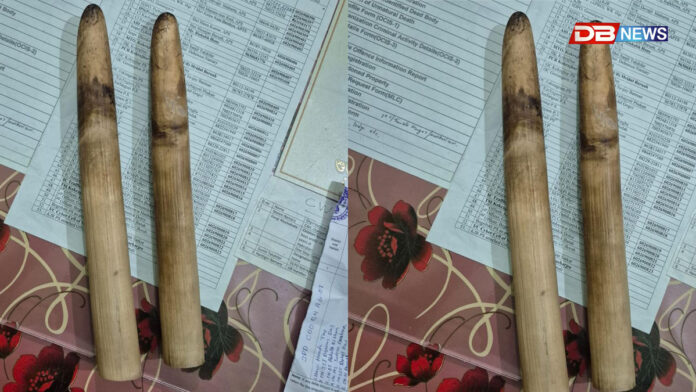 গোসাঁইগাঁৱৰ কচুগাঁৱত আৰক্ষীৰ অভিযানঃ হাতীৰ দাঁতসহ দুজন আটক