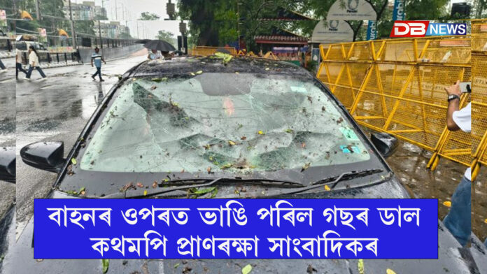 সচিবালয়ৰ সন্মুখত ভয়ংকৰ দুৰ্ঘটনা: বাহনৰ ওপৰত ভাঙি পৰিল গছৰ ডাল, কথমপি প্ৰাণৰক্ষা সাংবাদিকৰ