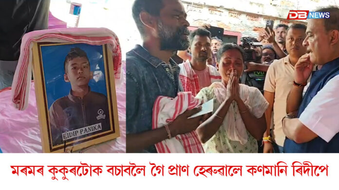 মৰমৰ কুকুৰটোক বচাবলৈ গৈ প্ৰাণ হেৰুৱাইছিল কণমানি ৰিদীপে