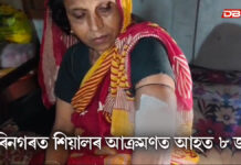 কাটিগড়া বিধানসভা সমষ্টিৰ হৰিনগৰত শিয়ালৰ আক্ৰমণত আহত ৮ জন হৰিনগৰত শিয়ালৰ আক্ৰমণত আহত ৮ জন