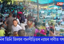মহানগৰীৰ চচলত ৰাইজৰ দলৰ উদ্যোগত গণবিক্ষোভ কাৰ্যসূচী মহানগৰীৰ চচলত ৰাইজৰ দলৰ উদ্যোগত গণবিক্ষোভ কাৰ্যসূচী