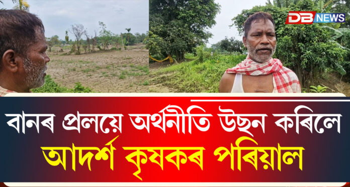 নাজিৰাত বানৰ প্ৰলয়ে অৰ্থনীতি উছন কৰিলে আদৰ্শ কৃষকৰ পৰিয়াল